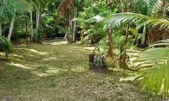 Imagem 6: Chácara com igarapé