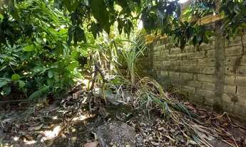 Imagem 3: Terreno à venda, 390 m² por R$ 400.000,00 - Sagrada Família - Belo Horizonte/MG