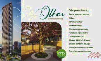 Imagem 4: OPORTUNIDADE - Olhar Caminho das Árvores