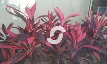 Imagem 7: Casa com 3 dormitórios à venda, 110 m² por R$ 850.000,00 - Itaipuaçu - Maricá/RJ