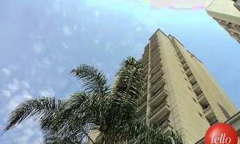 Imagem: São Paulo - Apartamento Padrão - Paraíso