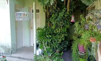 Imagem 4: Pelotas - Casa Padrão - Centro