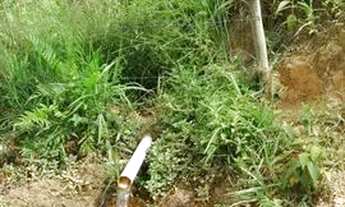 Imagem 6: Chacara dos sonhos