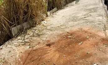 Imagem 2: LOTE 782 M2 Jd. Casa Branca