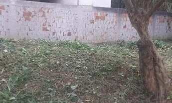 Imagem 4: Terreno parque raia