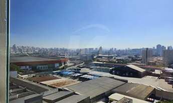 Imagem 7: Apartamento na Vila Guilherme - 2 dormitórios, 1 vaga