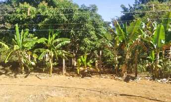 Imagem 2: Chacará em Brazlandia - 5 mil metros