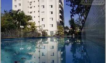 Imagem 3: Apartamento para venda tem 93 metros quadrados com 3 quartos em Vila Indiana - São Paulo