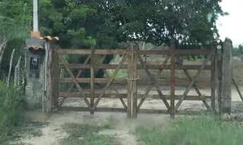 Imagem 4: Excelente Propriedade