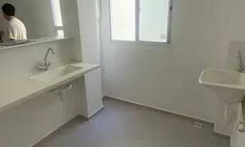 Imagem 3: Vista das copaiba