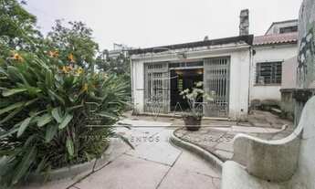 Imagem 4: PORTO ALEGRE - Terreno Padrão - Rio Branco