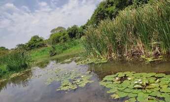 Imagem 2: Chácara 20mil metros maripotaba