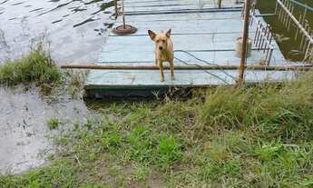 Imagem 5: Vende imóvel na represa do Capivari