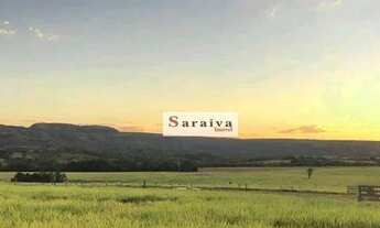 Imagem 4: Fazenda com 7 dormitórios à venda, 210000000 m² por R$ 210.000.000,00 - Morada Do Sossego