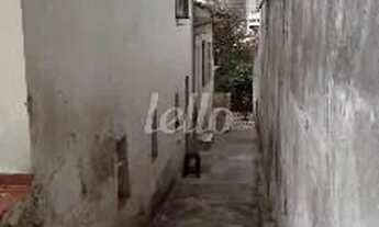 Imagem 2: São Paulo - Terreno Padrão - Mooca