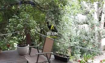 Imagem 3: Excelente sítio em Lindolfo Collor REF: 210640