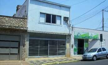 Imagem: CAPIVARI - Padrão - CENTRO