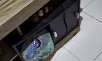 Imagem 3: Casa-Sobrado Casa com 1 dormitório