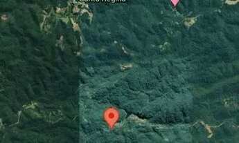 Imagem 6: Terreno para rancho (cabana) em Tapiraí sp sertão, são 3 mil metros maior parte mata