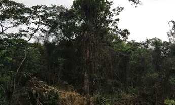 Imagem: Terreno em Itapoá SC balneário Camboriú