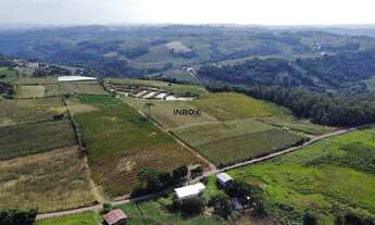 Imagem 7: INBOX CIA IMOBILILIÁRIA VENDE EM PINTO BANDEIRA - Área de terras com quatro hectares em Pi