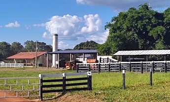 Imagem 5: Fazenda à venda no Goiás