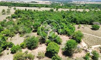 Imagem 4: Hidrolândia - Chácara de 3 Alqueires codigo: 152378