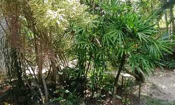 Imagem 4: Imóvel para venda possui 432 metros quadrados com 6 quartos