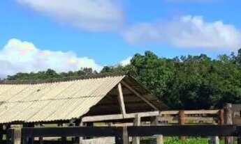 Imagem 6: VENDO E TROCO Fazenda / sítio com venda por R$3.000.000