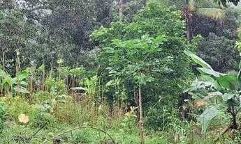 Imagem 3: Sítio com casa Chácara com venda por R$120.000