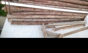 Imagem 1: Vendo estroncas de eucalipto no precinho