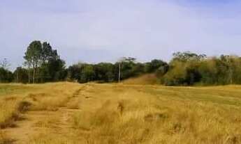 Imagem: 2. Decida hoje mais natureza ou mais estresse