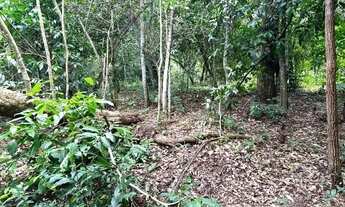 Imagem 3: Imóvel Chácara venda 1500 m2 em Área Rural de Senador Canedo - Senador Canedo - GO