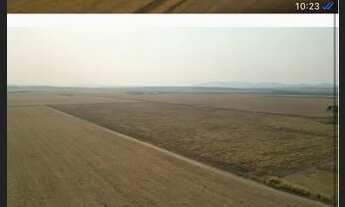 Imagem: Fazenda no Mato Grosso