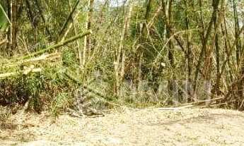 Imagem: Terreno à venda, 202000 m² por R$ 1.850.000,00