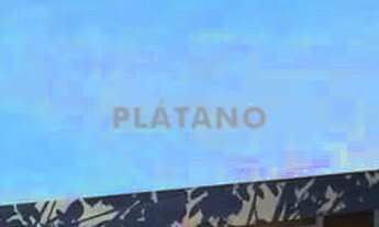 Imagem 3: Imóvel com 5 quartos no Campo Grande, Estância Velha