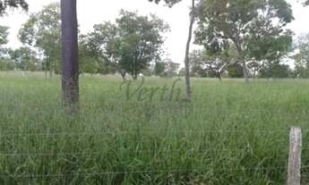 Imagem 6: Fazenda à Venda Porteira Fechada Januária/MG