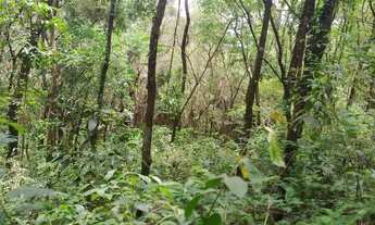 Imagem 5: Ótimo terreno 9000m2