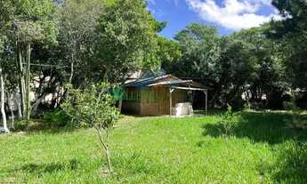 Imagem 2: Velleda oferece magnífico sítio plano com frutíferas - Aceita caminhão como parte do negóc