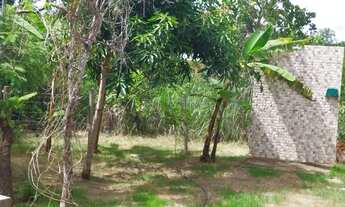 Imagem 2: Casa com três terrenos juntos de 12 x 30 cada, totalizando 1.000 M² no condomíni