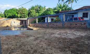 Imagem 4: Casa com 3 Quartos (1 Suíte) + Terreno Enorme (16x64m