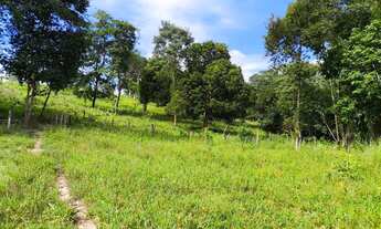 Imagem 4: Vende-se 7 alqueres município de Goiás velho