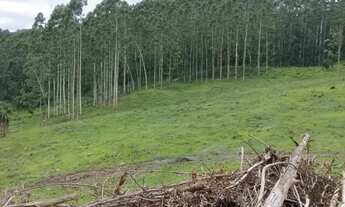 Imagem 2: Sitio Chácara com venda por R$2.700.000