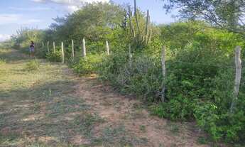 Imagem 2: Vendo Terreno em Ribeira do Pombal