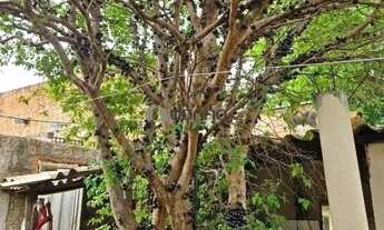 Imagem 2: Casa à venda em Uberaba - Conjunto José Vallim de Melo, 2 quartos, financiamento disponíve