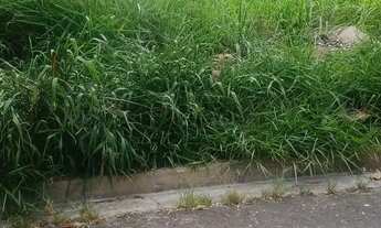 Imagem 7: Terreno à venda em Vinhedo, Vista Alegre, com 743 m²