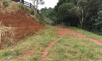 Imagem 2: Bela Propriedade 12 Alqueires Ou seja 29 Hectare - Igarata SP