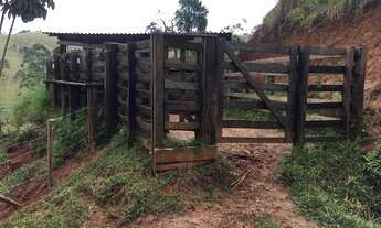 Imagem 5: Bela Propriedade 12 Alqueires Ou seja 29 Hectare - Igarata SP