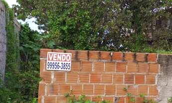 Imagem 2: Terreno em Tamandaré