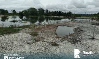 Imagem 6: Fazenda com dupla aptidão na região de Bernardo Sayão - TO